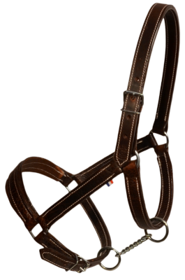 Licol cuir chromé cheval de trait 