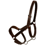 Licol cuir chrom cheval de trait 