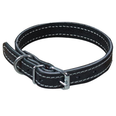 Collier de chien cuir noir