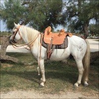 Panneau de selle camargue