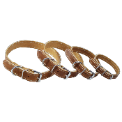 Collier de chien cuir  fauve