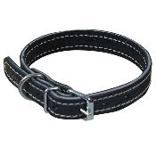 Collier de chien cuir noir